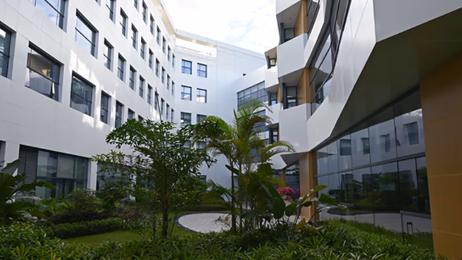 hUC-MSC for Rheumatoid Arthritis (RA) facility 4